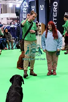 Have A Go Gundog Prints: Have A Go Gundog