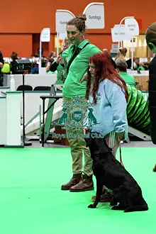 Have A Go Gundog Prints: Have A Go Gundog