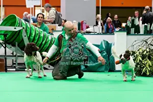 Have A Go Gundog Prints: Have A Go Gundog