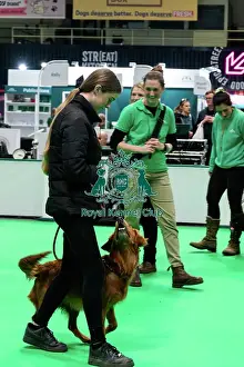Crufts 2025 General Photography Prints: Have A Go Gundog