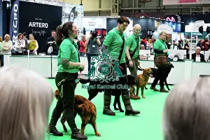 Crufts 2025 General Photography Prints: Have A Go Gundog