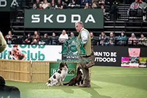 Crufts 2026 Main Arena Prints: Gundog Display