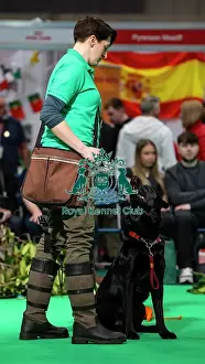 Display Prints: Gundog Display Dog Activities Stand