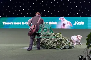 Gundog Display Prints: Gundog Display today (Saturday 08/03/25)