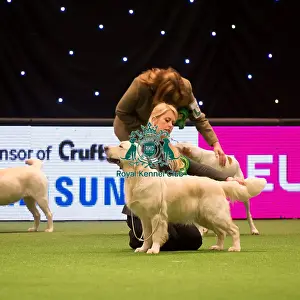 Gundog Group