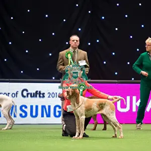 Gundog Group