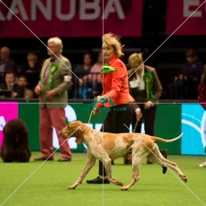 Gundog Group