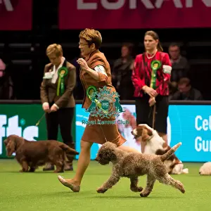 Gundog Group