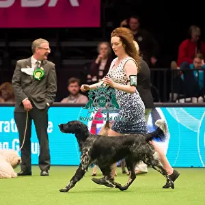 Gundog Group