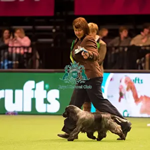 Gundog Group