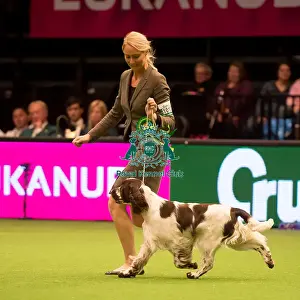 Gundog Group