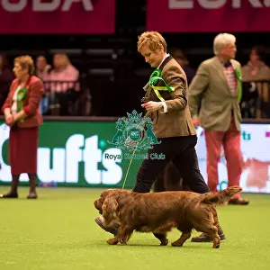 Gundog Group