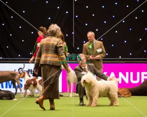 Gundog Group
