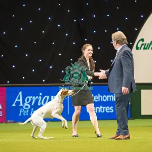 Gundog Group 2