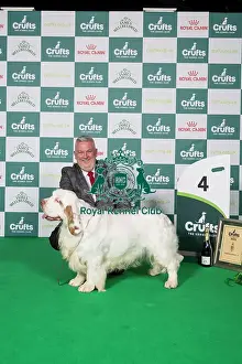 Gundog Group 4 Clumber Spaniel