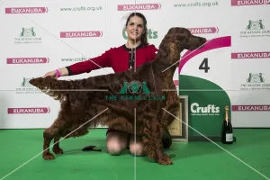 Gundog Group - winner