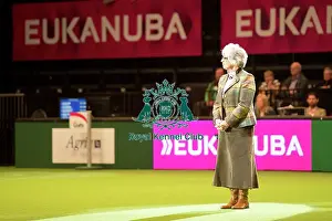 Crufts 2016 Prints: Gundog Group judging