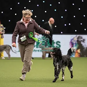 Gundog Group Judging Crufts 2022