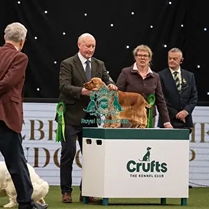 Gundog Group Judging Crufts 2022