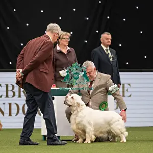Gundog Group Judging Crufts 2022