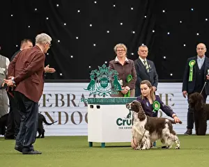 Gundog Group Judging Crufts 2022