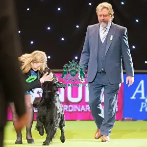 Gundog Group winner