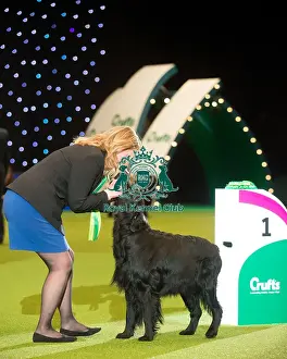 Best In Group Prints: Gundog Group winner