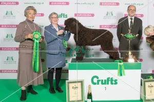 Gundog Group - winner