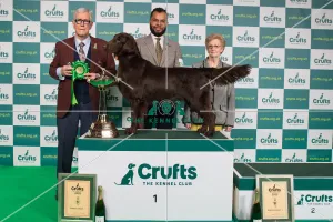 Gundog Group Winner 1st place Gundog Group Winner 1st place