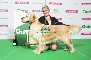 Gundog Group - winner