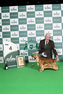 Gundog Group Winner 4th Place