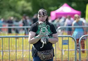 Chelmsford Prints: Most Handsome Crossbreed Dog Class Chelmsford