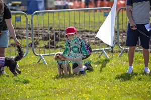 Chelmsford Prints: Most Handsome Crossbreed Dog Class Chelmsford