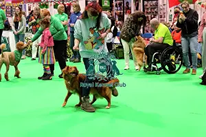 Have A Go Heelwork To Music