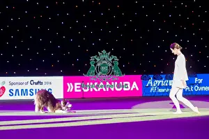 Heelwork to Music - winner