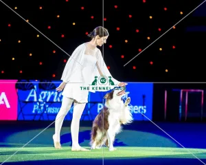 Heelwork
