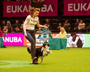 Heelwork to Musiv AC / DC Handler Irena IAatvankova and border collie, Mystic Layla