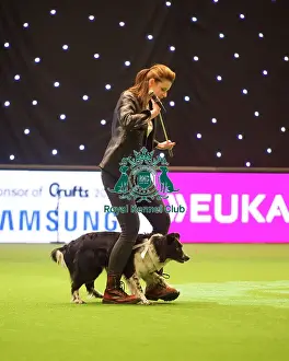 Heelwork to Musiv AC / DC Handler Irena IAatvankova and border collie, Mystic Layla