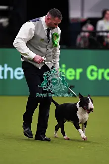Hilary and Jimmy Gilpin from Arnside with Boots, a Border Terrier, which was the Best of Breed winner today (Saturday 11. 03. 23), the third day of Crufts 2023, at the NEC Birmingham