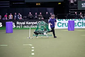 Crufts 2026 Main Arena Prints: Hoopers Display