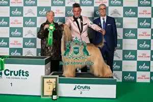 Crufts 2025 Best In Group Prints: Hound Group 2