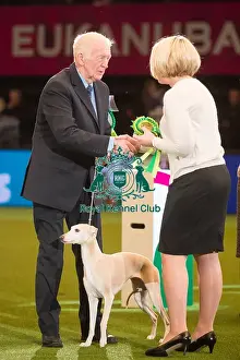 Hound Group 2 Mr a & Miss D Ritchie & Ritchie-Smith with Ir Ch Demerlay Armabay Billie