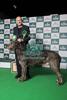 Hound Group 3
