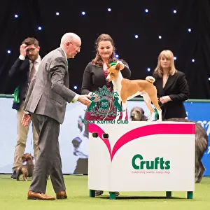 Hound Group judging