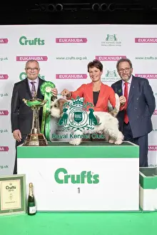 Hound Group Winner