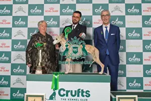Hound Group Winner