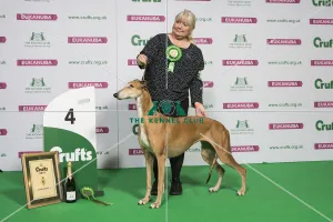 Hound Group Winner 4th Place