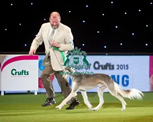 Best In Group Prints: Hound Group Winner MRS I & MR N ERIKSSON with SE / NO / FI CH QIRMIZI OVATION FIW-13