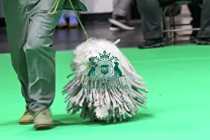 Hungarian Puli Prints: Hungarian Puli