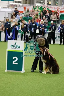 Obedience Prints: Inter-Regional Obedience Competition